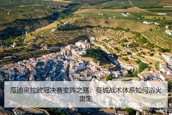 gua-di-ao-la-ou-guan-jue-sai-bian-zhen-zhi-shang-man-cheng-zhan-shu-ti-xi-ru-he-yu-huo-chong-sheng-3-716.jpg